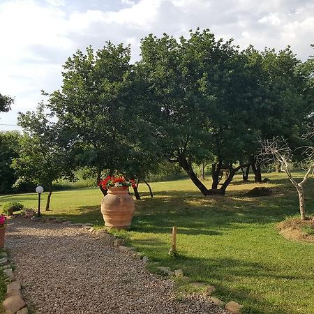 Podere Le Spighe Castiglion Fiorentino Exterior foto