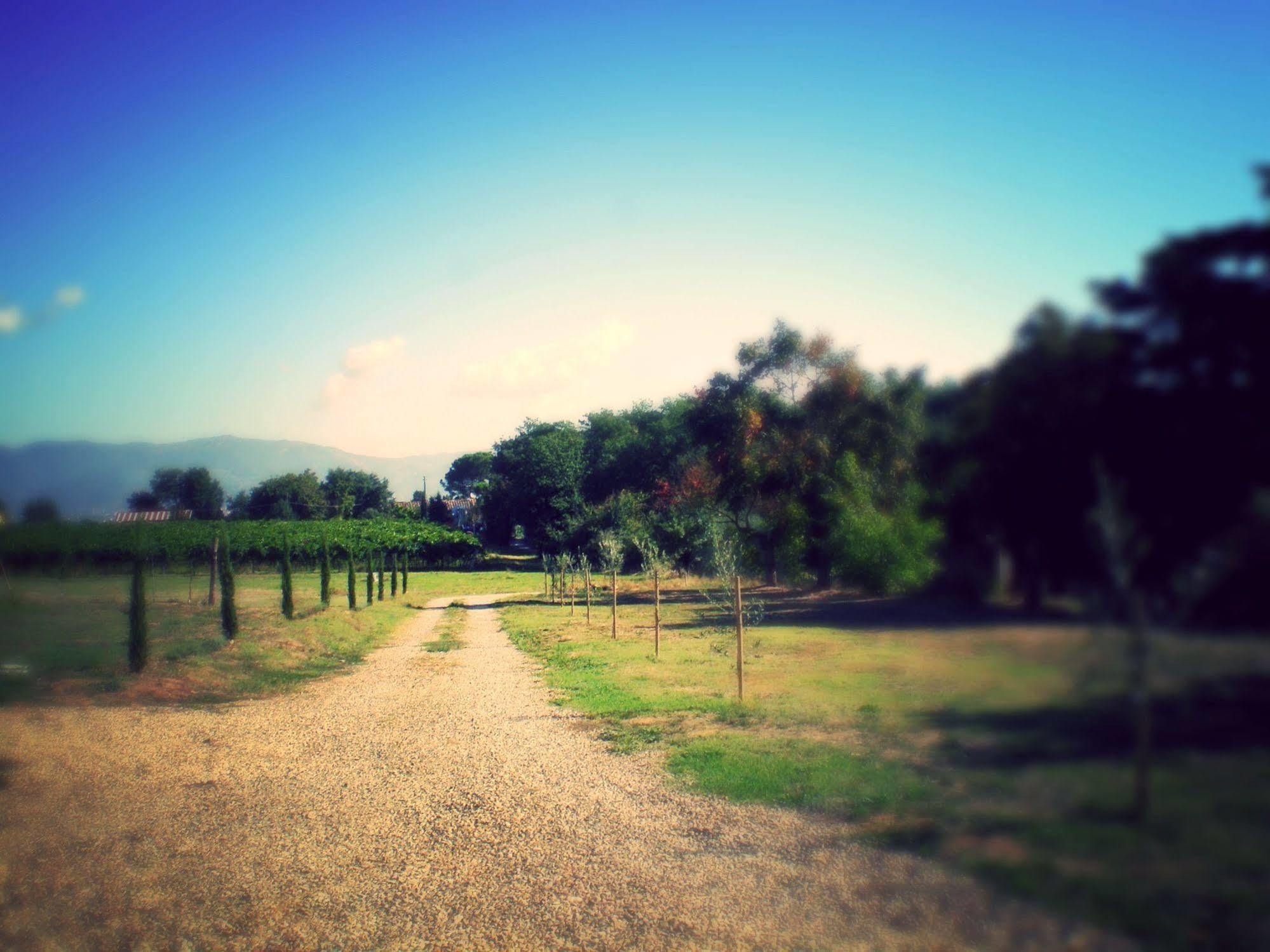 Podere Le Spighe Castiglion Fiorentino Exterior foto